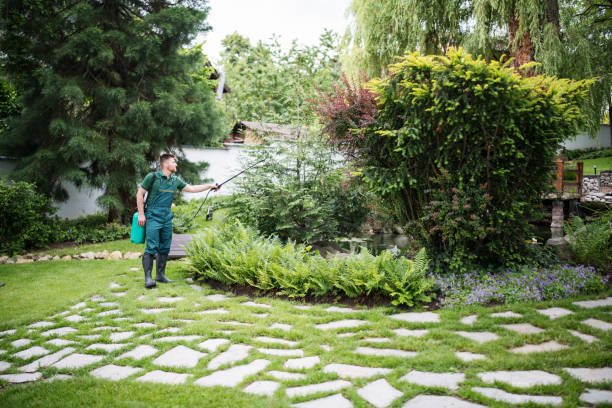 Best Best Pest Control Companies  in Metairie, LA