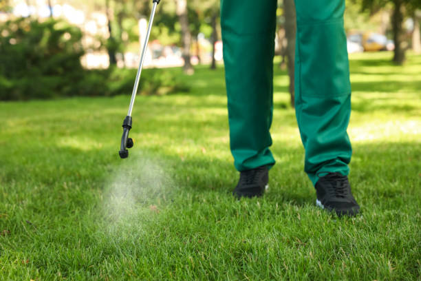 Best Pest Control Near Me  in Metairie, LA