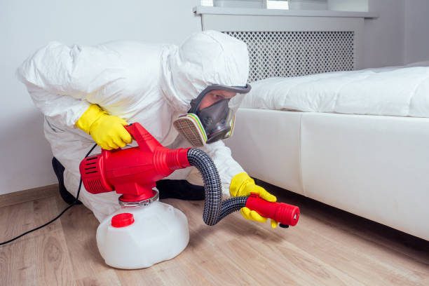 Best Pest Inspection Near Me  in Metairie, LA