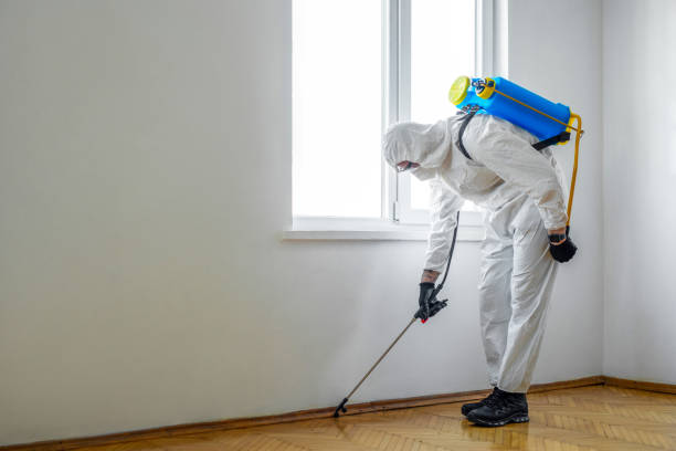 Best Local Pest Control Services  in Metairie, LA