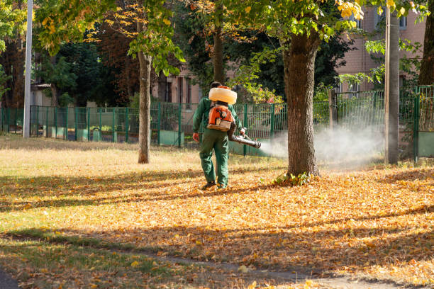 Flea Control Services in Metairie, LA