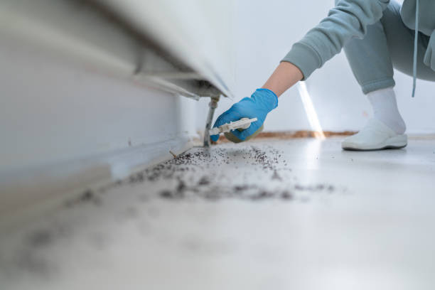 Best Emergency Pest Control  in Metairie, LA