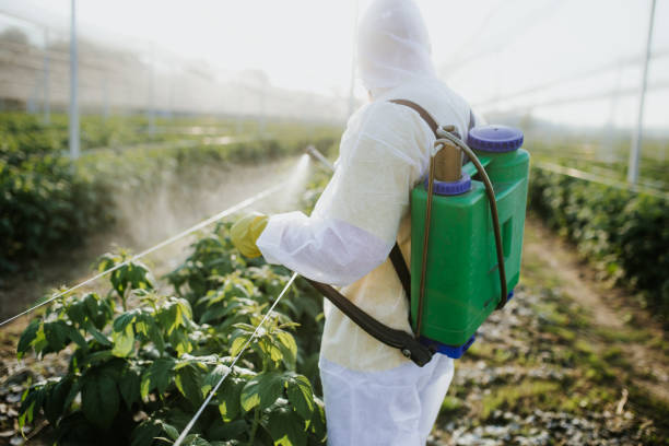Best Best Pest Control Companies  in Metairie, LA